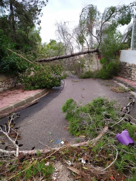 El temporal descarga sobre Ibiza y Formentera