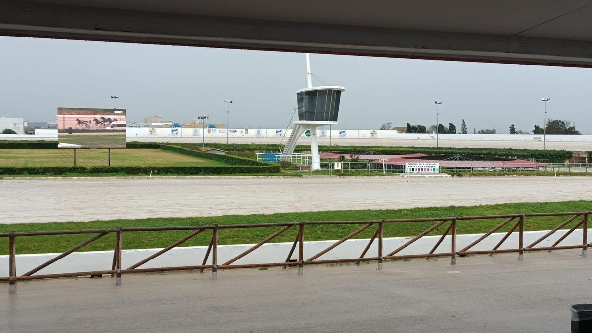 El mal estado de la pista llevó a la suspensión de la sesión de tarde en el Hipódromo de Son Pardo