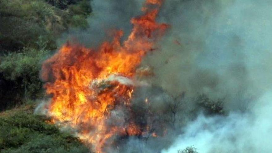 La UME de Zaragoza se suma a la extinción del fuego de Gran Canaria