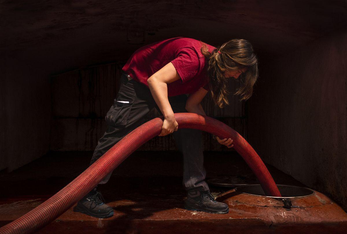 'Los trabajos del vino', obra ganadora del certamen fotográfico