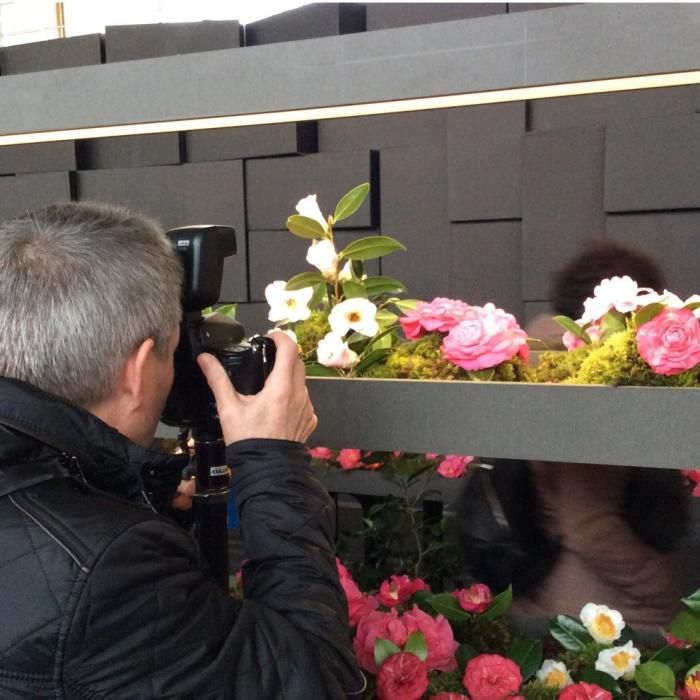 La LII Exposición Internaiconal "Os sentidos da camelia" reúne hoy en en el recinto ferial de Pontevedra medio centenar de expositores dedicados a la camelia, la flor de invierno.