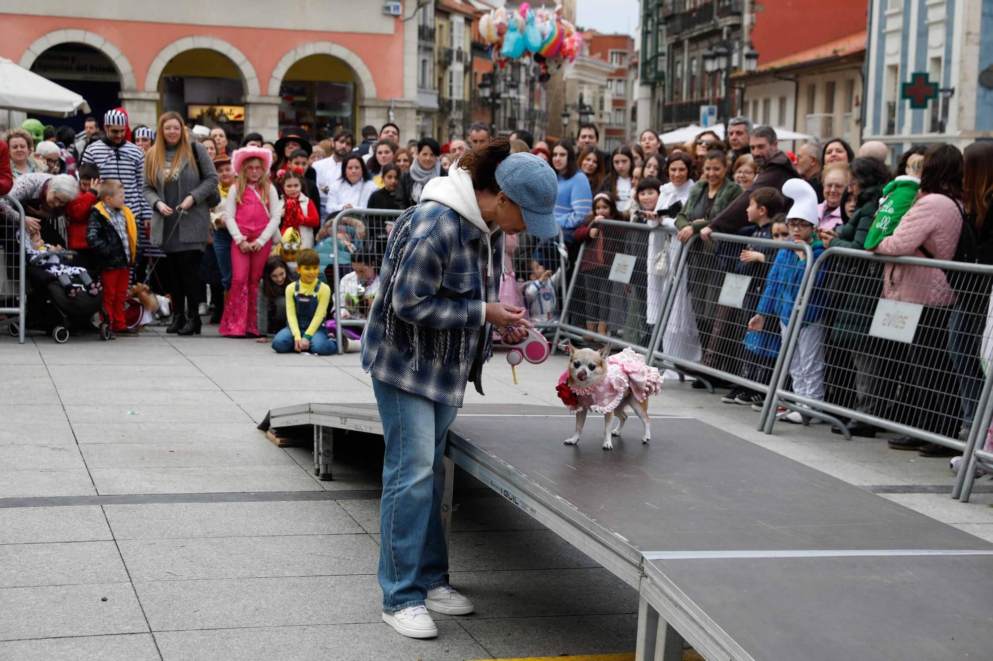 Las mascotas antroxaes desfilan ante su público