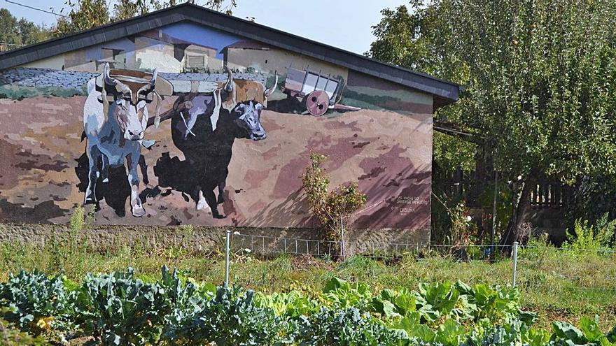 Terroso despliega el muralismo rural