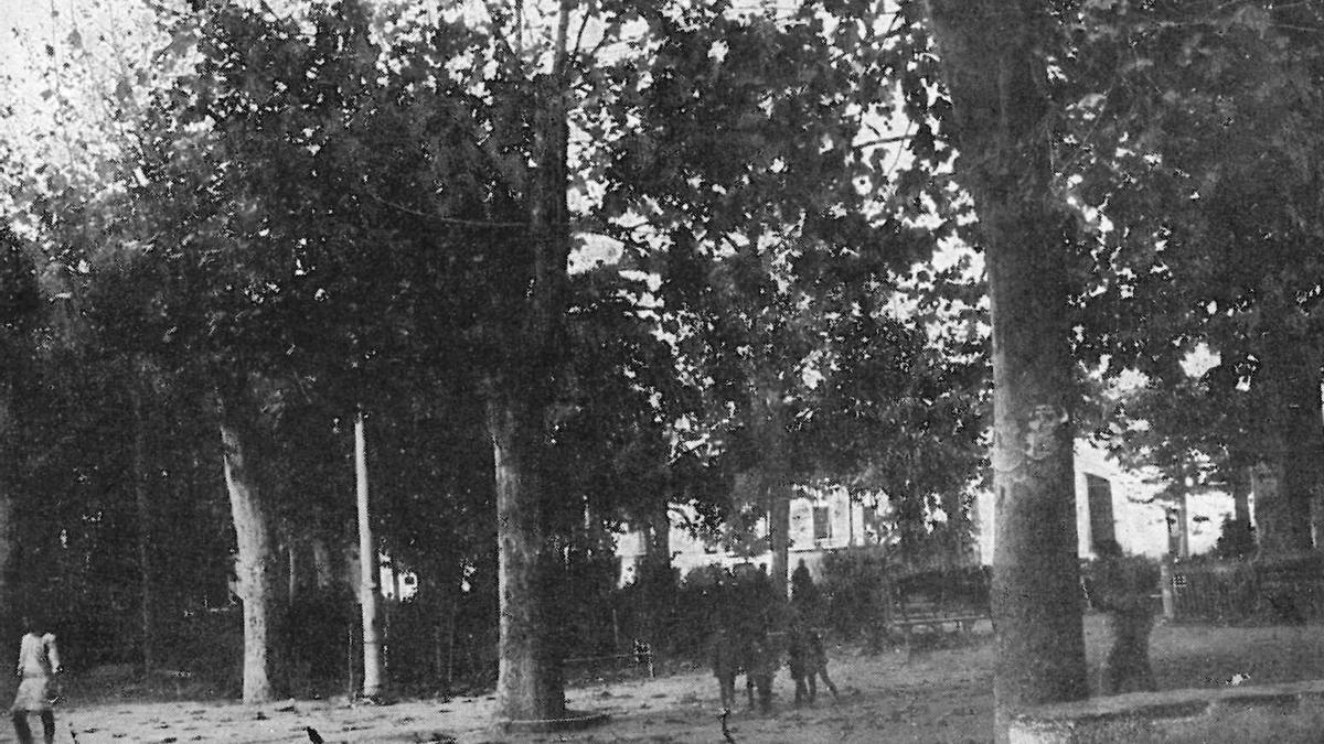 Glorieta de Sagunt on va celebrar-se la festa de l'arbre.