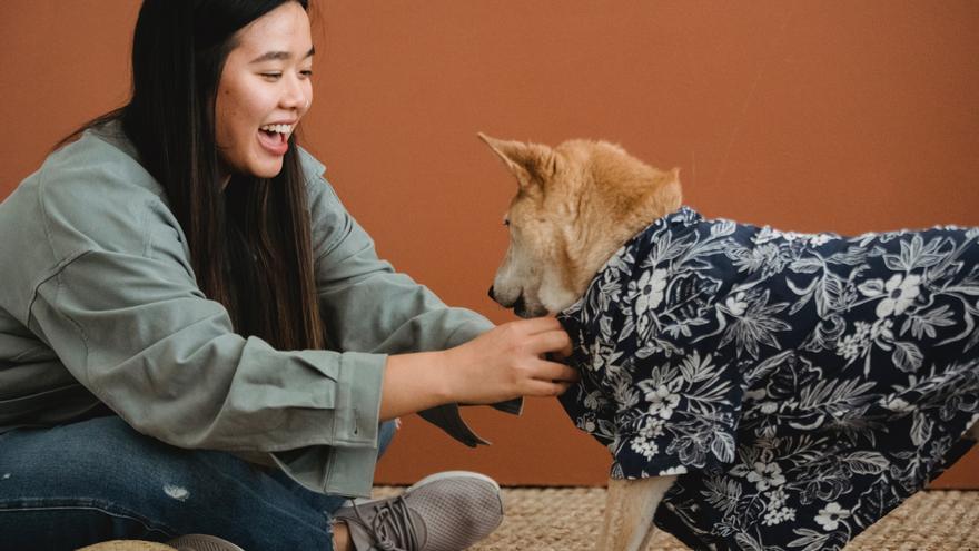 ABRIGAR A LOS PERROS EN INVIERNO | La moda también llega a nuestros perros,  mira la última colección de Benetton