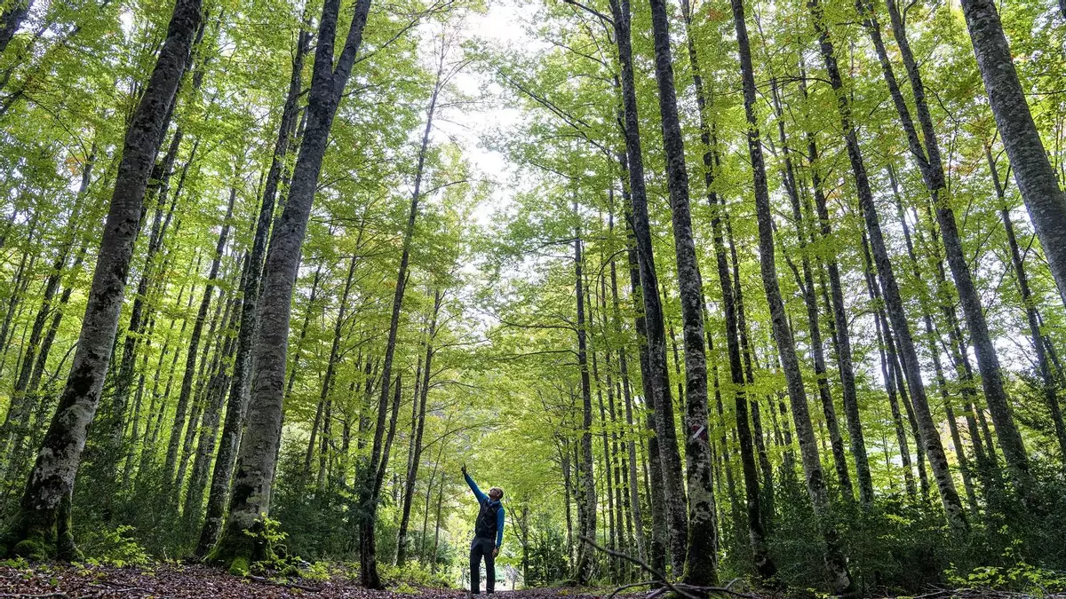 Turismo en Navarra