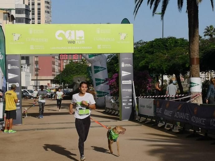 Carrera de mascotas Can We Run