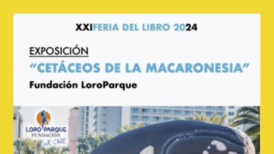 Exposición Cetáceos de la Macaronesia