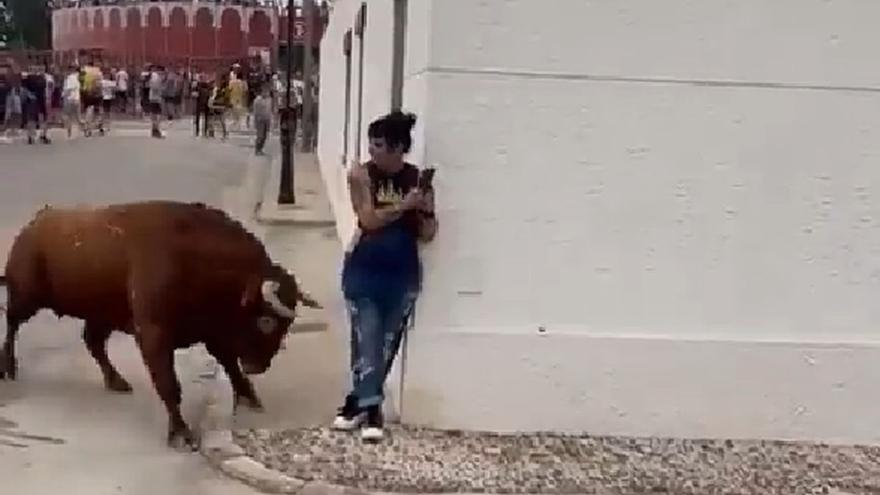 Vídeo | Un toro embiste violentamente a una presunta activista antitaurina  - El Periódico Mediterráneo