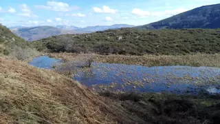 Siete cosas que debes saber sobre las turberas, ‘heroínas anónimas’ en la batalla contra la crisis climática