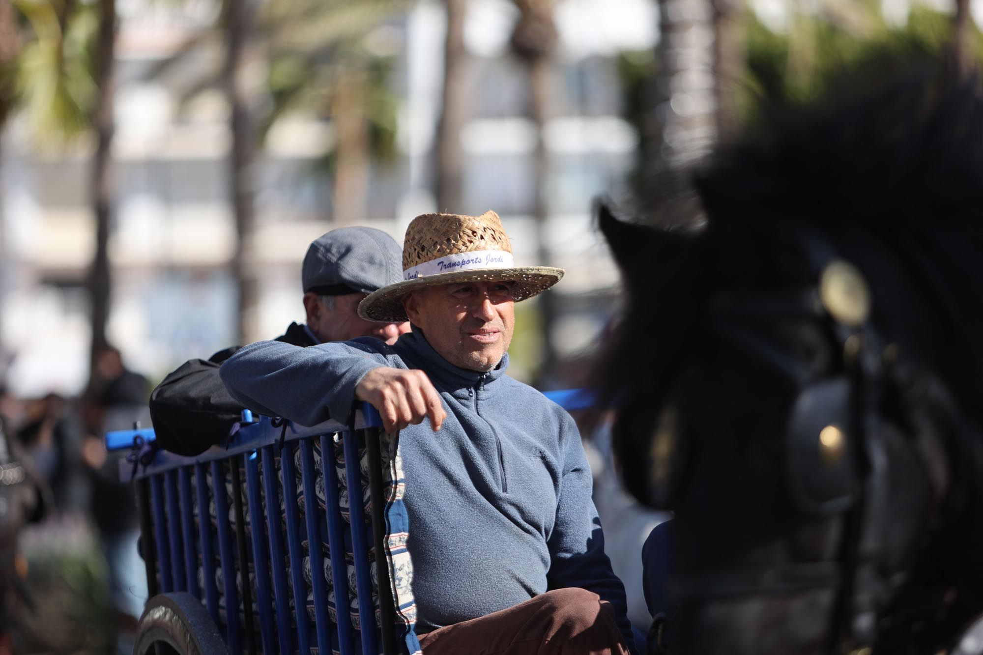 Todas las imágenes de la bendición de animales y el día grande de las fiestas de Sant Antoni