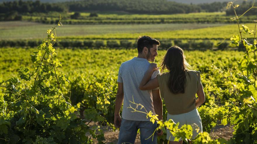 Día del Enoturismo: la excusa perfecta para perderse entre viñedos