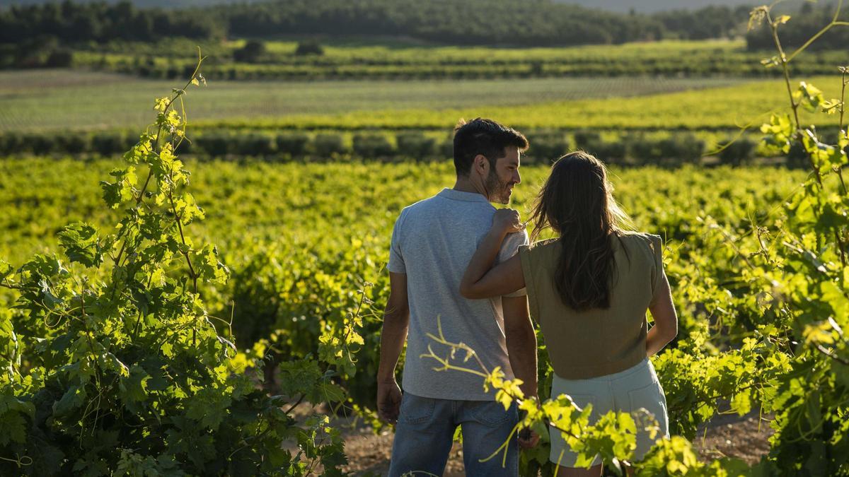 El interior valenciano cuenta con paisajes de gran belleza dominados por el viñedo.