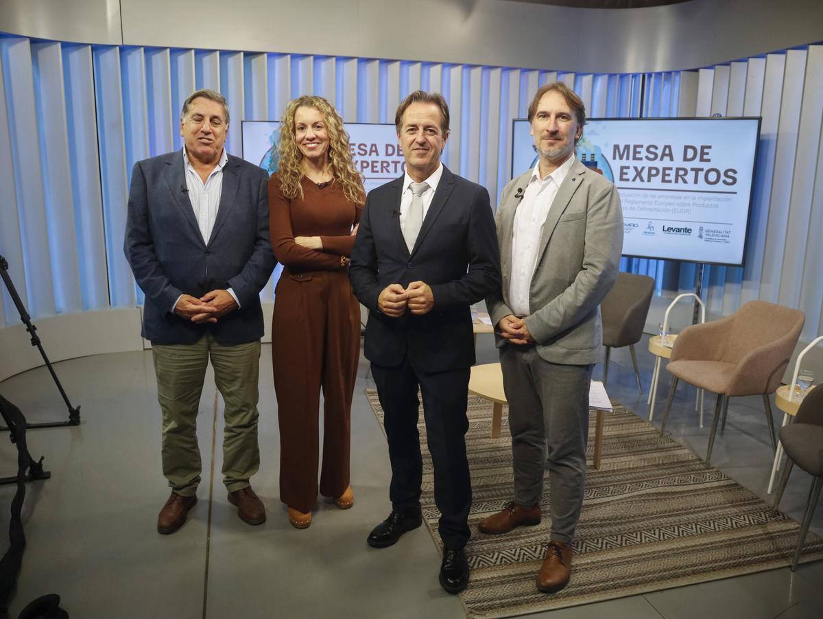 Rafael Pérez, Silvia Tomás, Alejandro Bermejo y Vicente Sales.