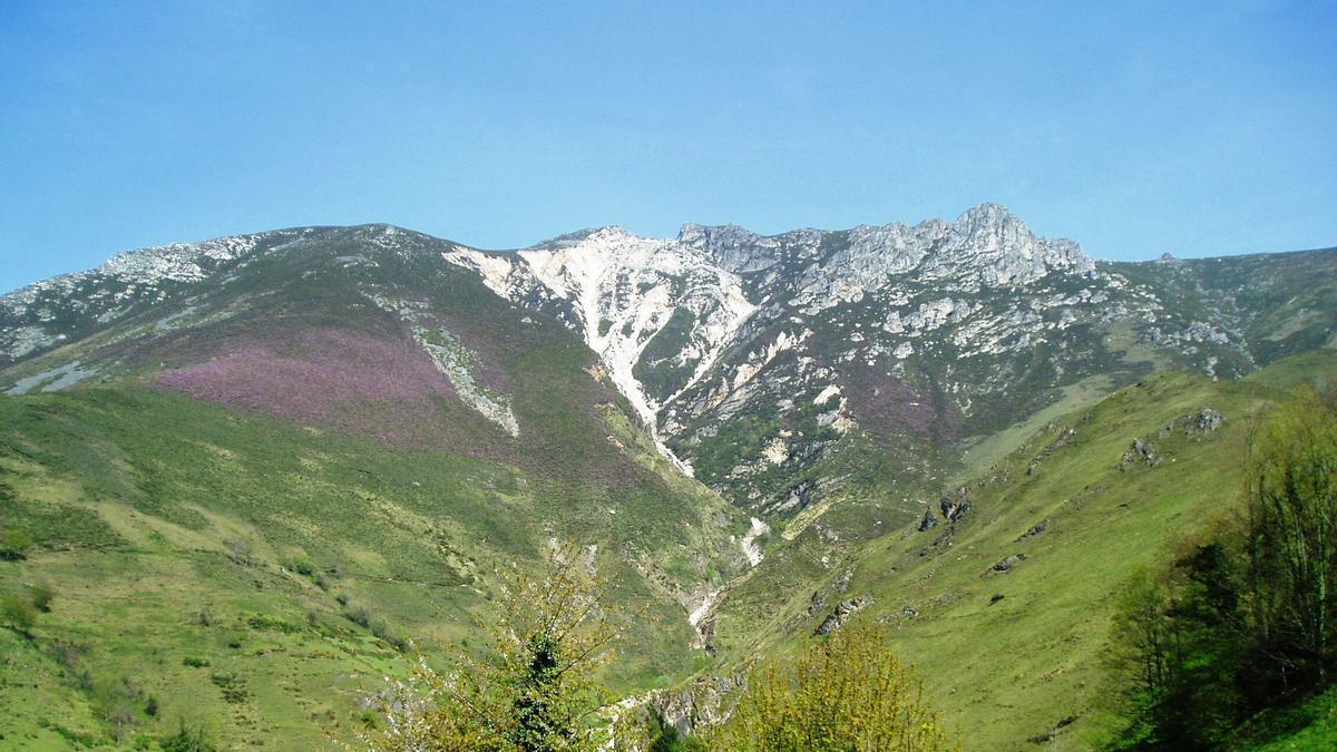 Imagen de archivo de la fana de Genestaza, en Tineo.