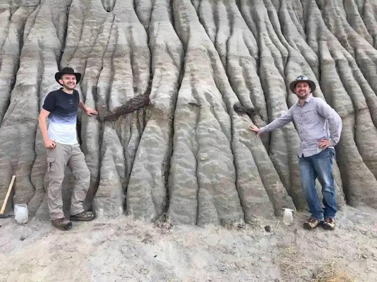 Los investigadores Brian Pickles y Caleb Brown, junto a los fósiles expuestos de un dinosaurio juvenil con pico de pato en el Dinosaur Provincial Park, Alberta.
