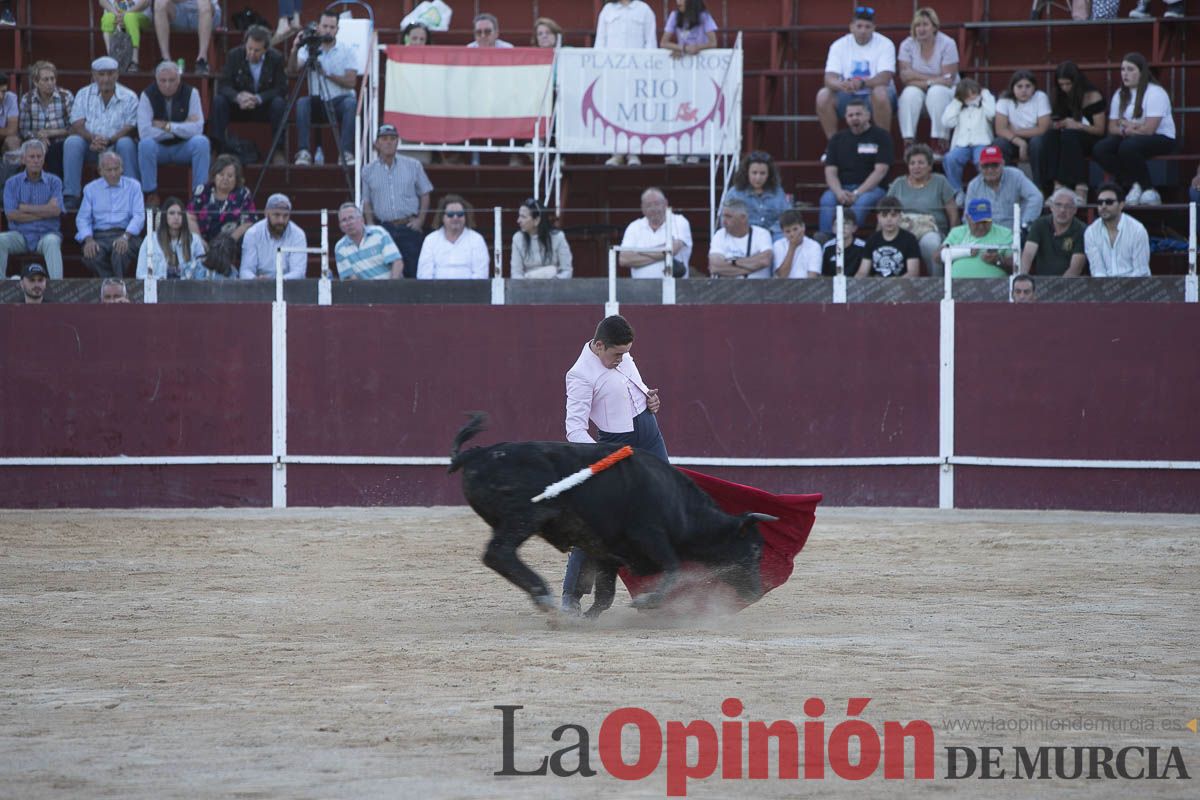 Festival taurino ‘La flor del almendro’ en Mula