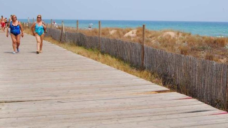 Imagen del estado que presenta la senda peotonal junto a la playa de La Mata.