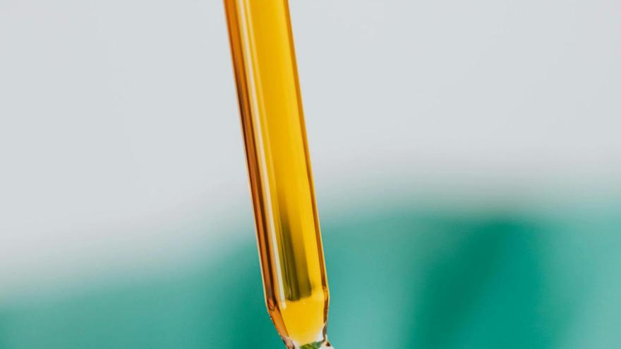 Aceite de romero para el pelo: todos sus beneficios