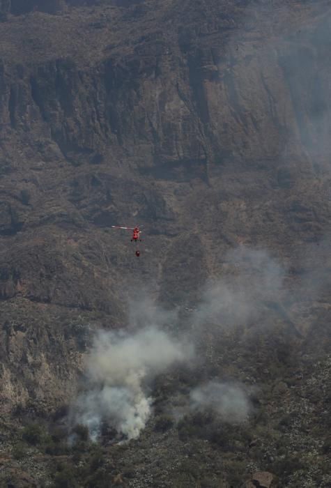 Incendio en Tejeda, Gran Canaria