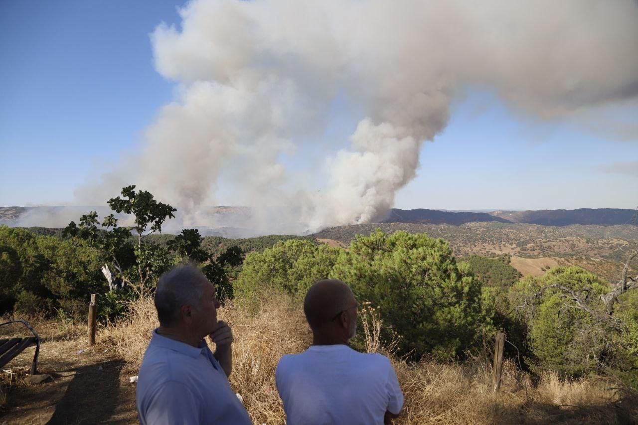 Incendio forestal en Cerro Muriano