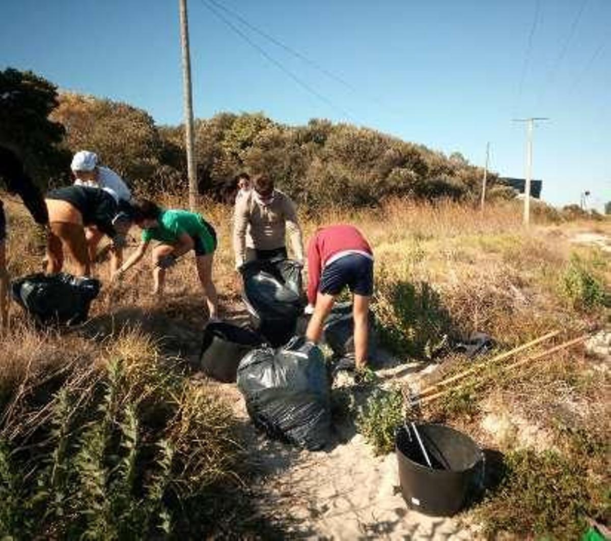 El campo de voluntariado retira una gran cantidad de plantas invasoras en Ostreira