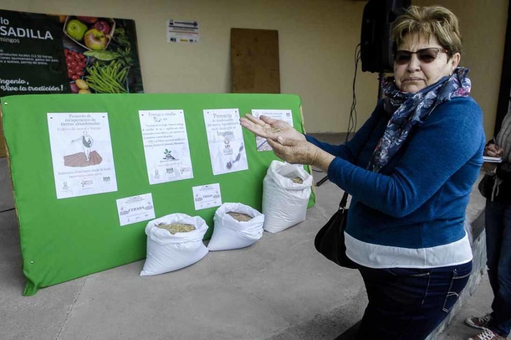 Mercado de berros a 1 euro en Ingenio