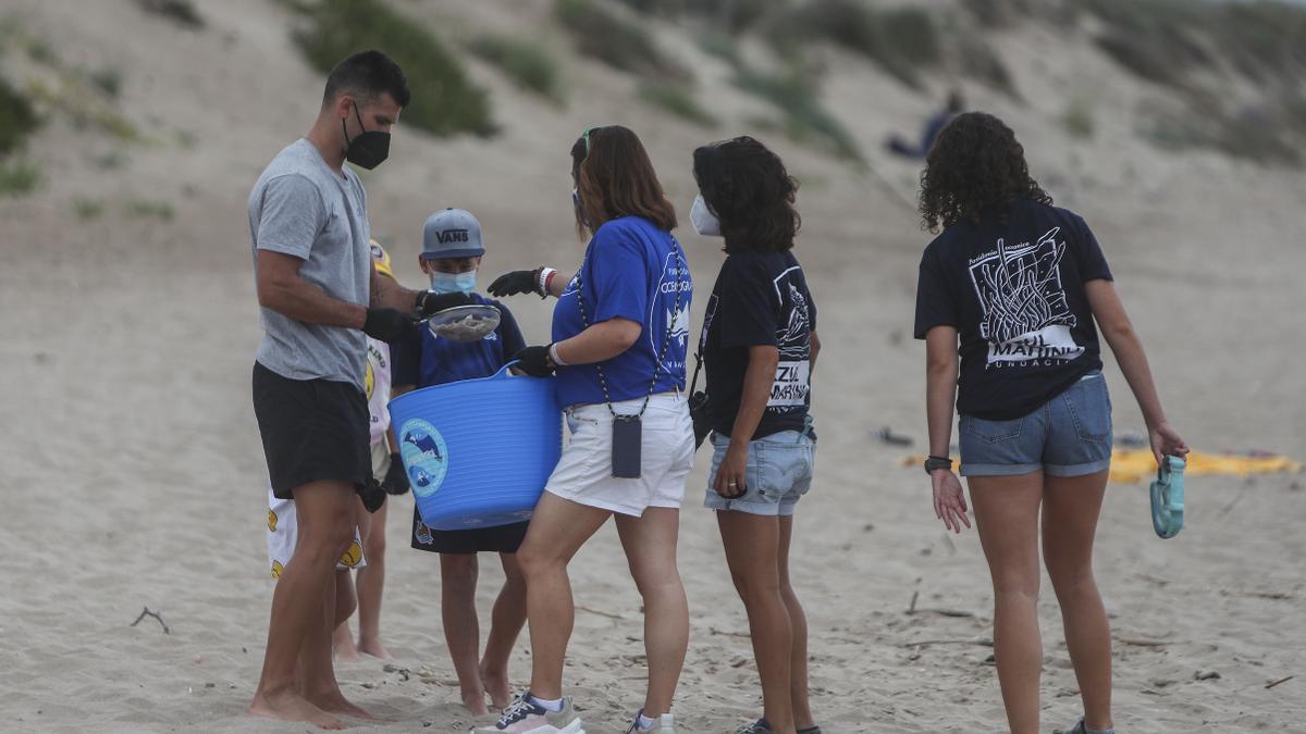 Bañistas y miembros de la Fundación limpiaron la playa.