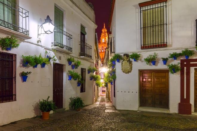 Calleja de las flores