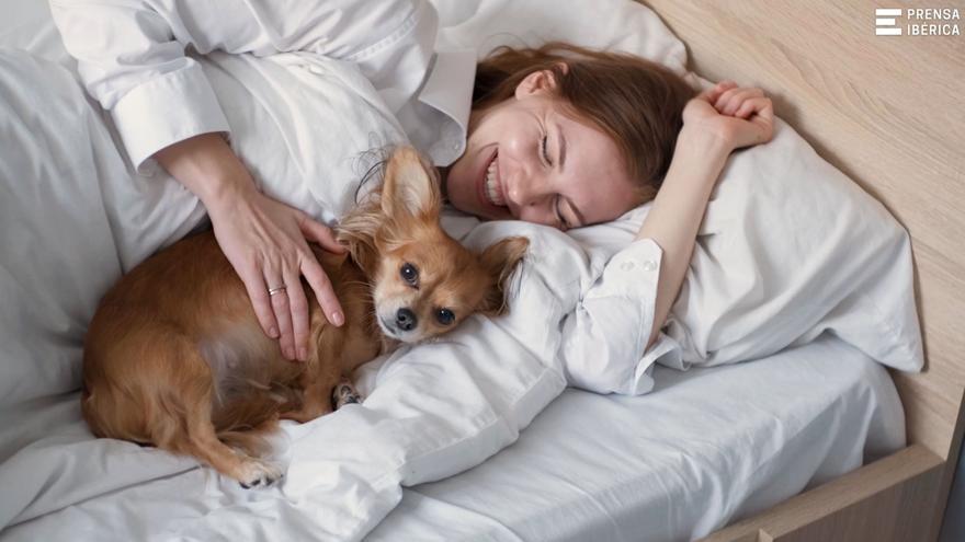 Adiós a dormir con tu perro: estas son las tres enfermedades que puedes coger según los expertos