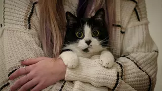 ¿Tu mascota te ama o solo te tolera?