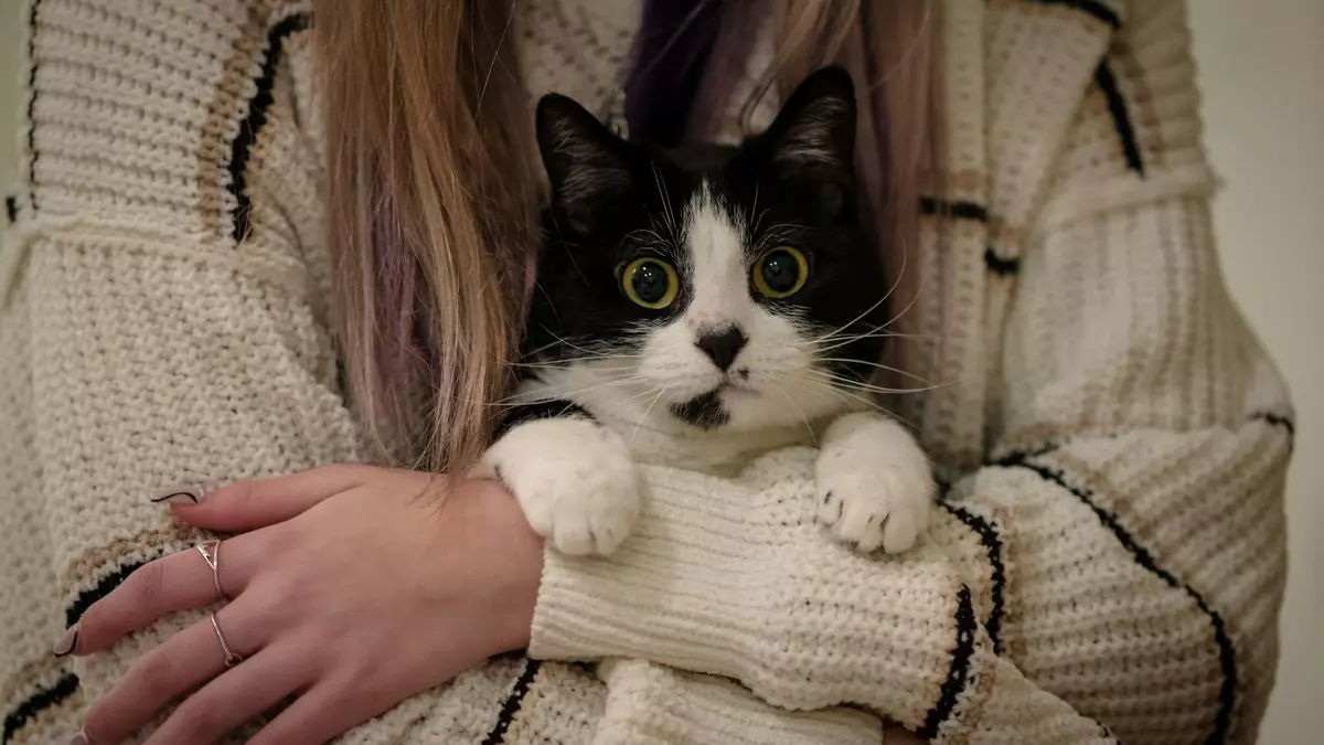 ¿Tu mascota te ama o solo te tolera?
