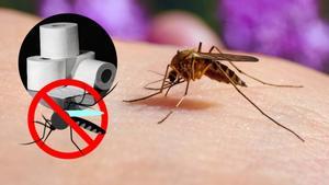 El truco casero para repeler a los mosquitos