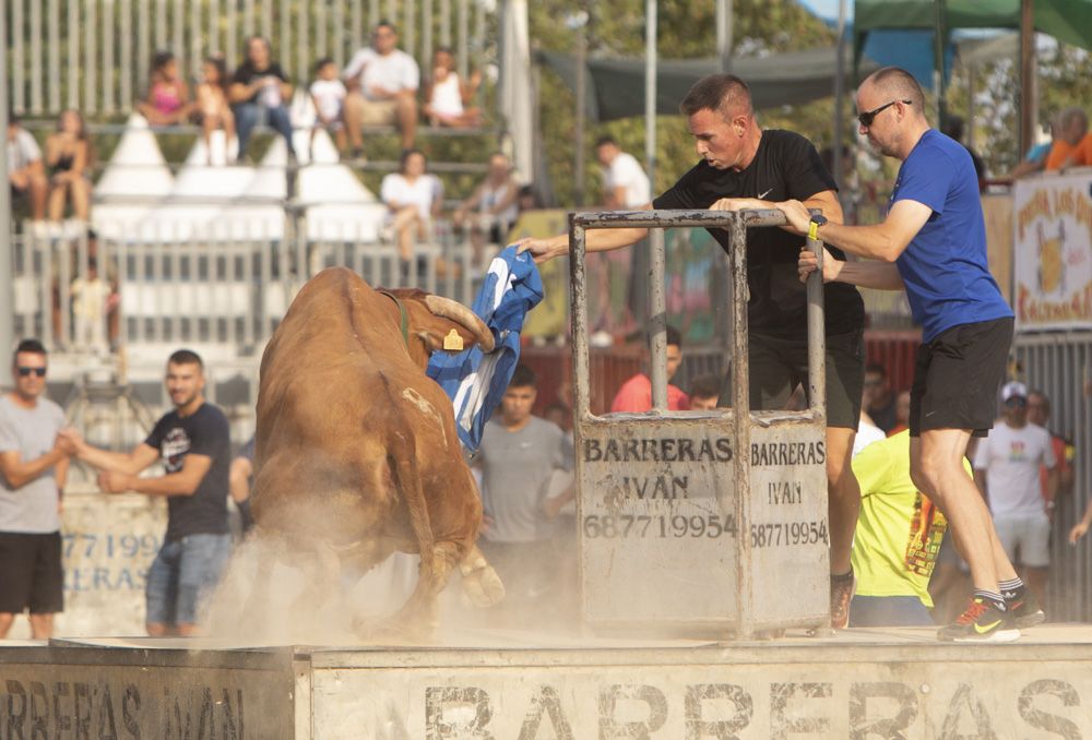 Actos taurinos en las fiestas de Sagunt.