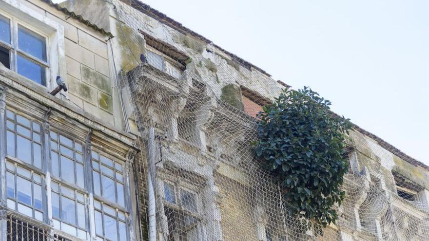 Una higuera se encarama al edificio protegido de La Merced