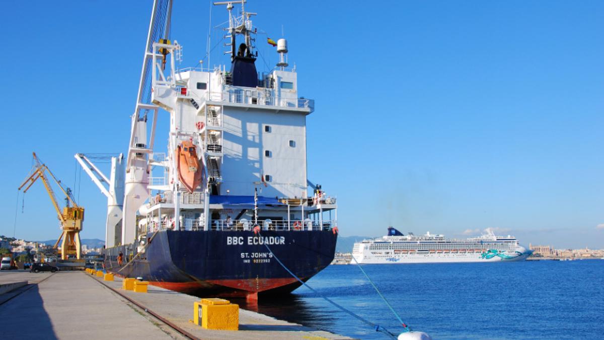 Buques en el puerto de Palma.