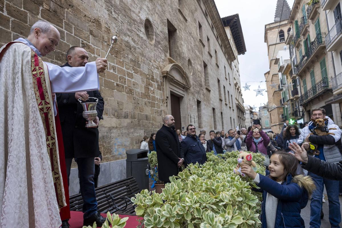 PALMA. BENEIDES DE PALMA 2026.