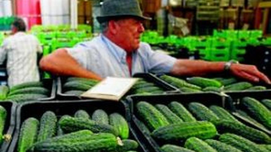 España recibirá los 71 millones exigidos por la crisis del pepino