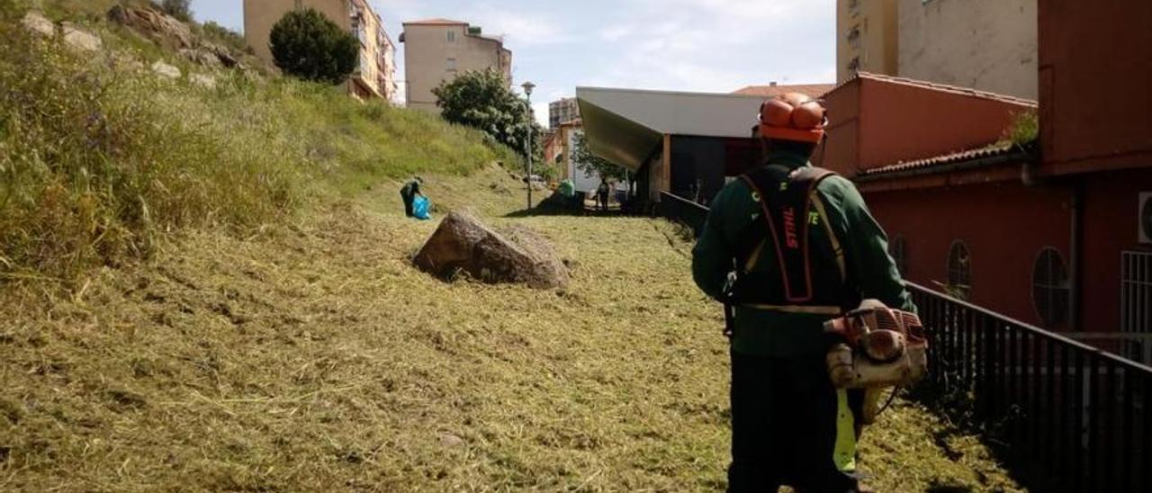 Recibe el alta el trabajador herido en Plasencia cuando desbrozaba.