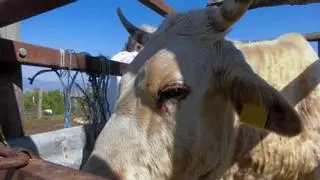 Los empresarios del medio rural recibirán una ayuda de más de ocho millones de euros en tres años: "Es la principal herramienta para impulsar los negocios"
