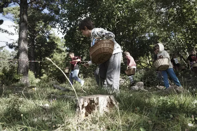 Totes les imatges del Concurs de Boletaires al Pla de Puigventós