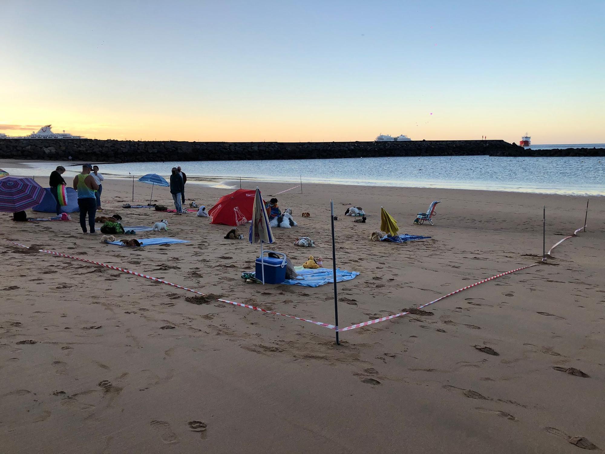 Acción pacífica en la playa de Las Teresitas en demanda de una zona para mascotas