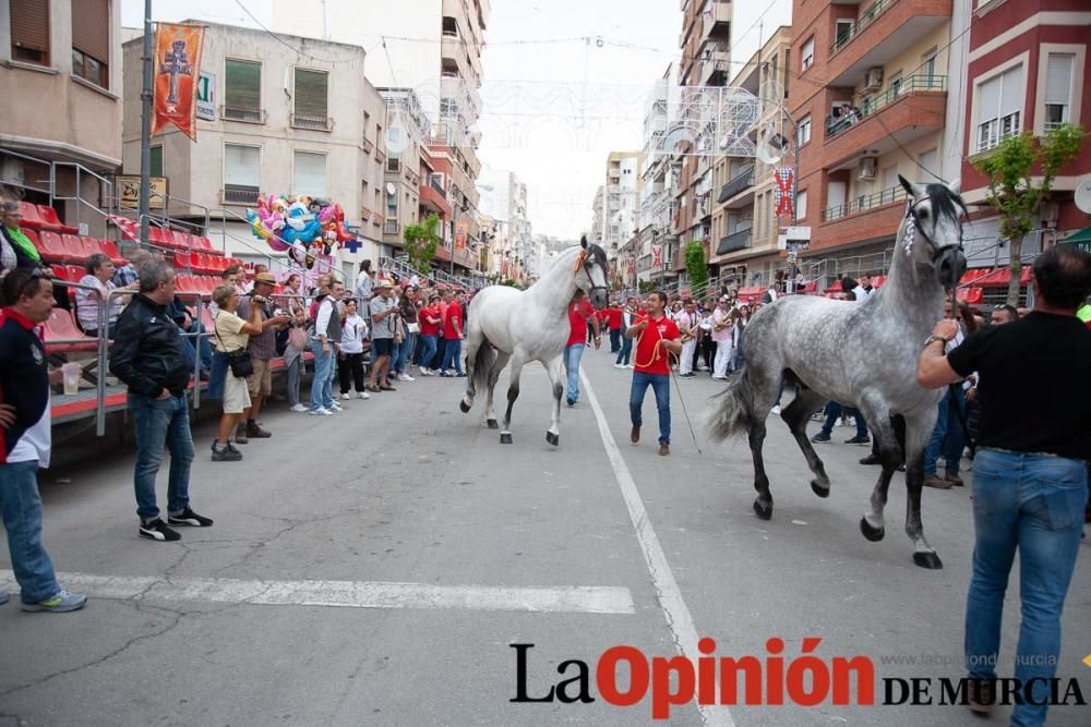 Caballos del Vino: Concurso morfológico (salida Pl