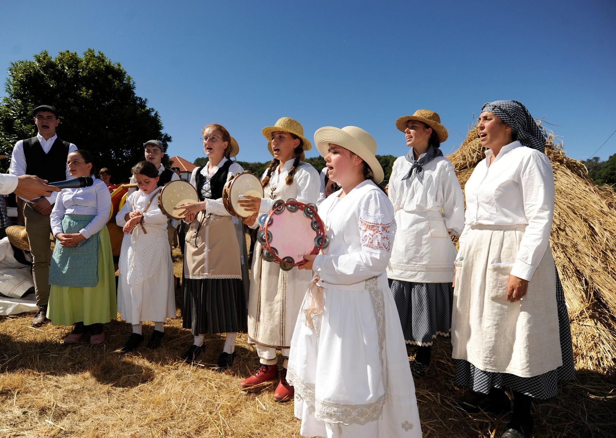 A Festa da Malla