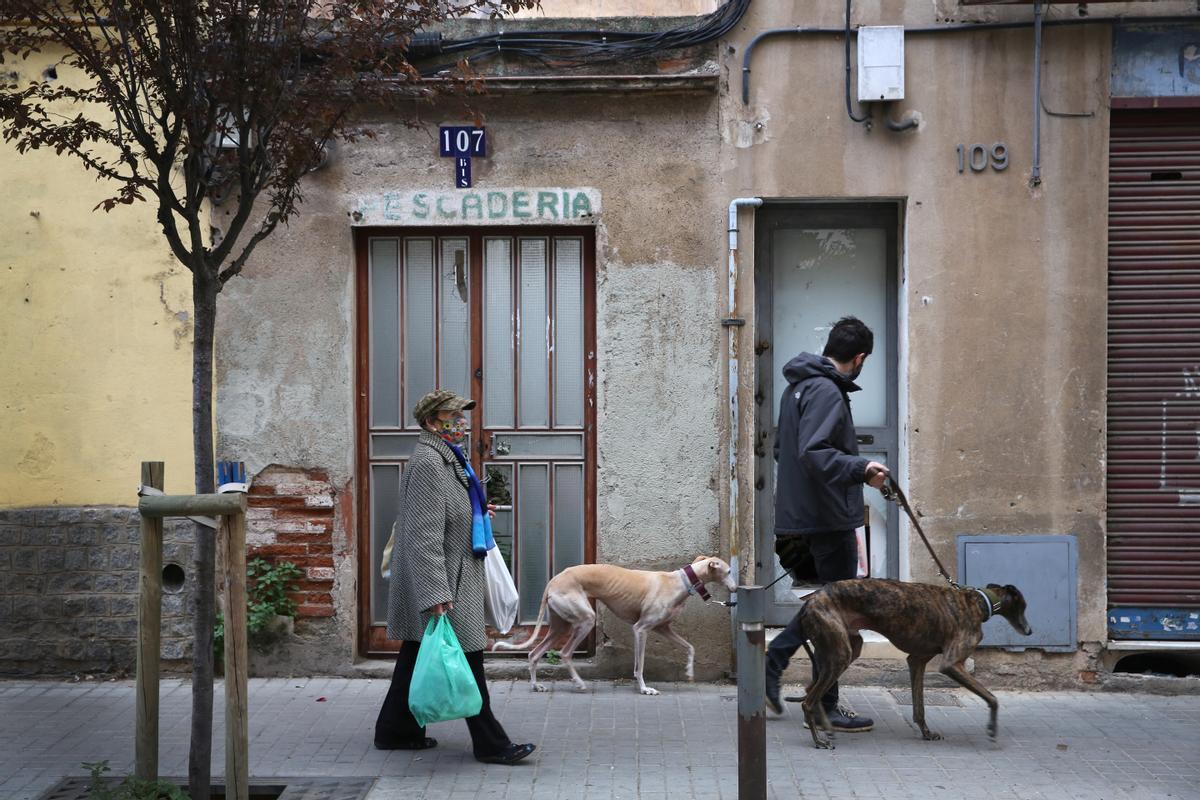 ’La Taxo’ reivindica el seu origen imperfecte