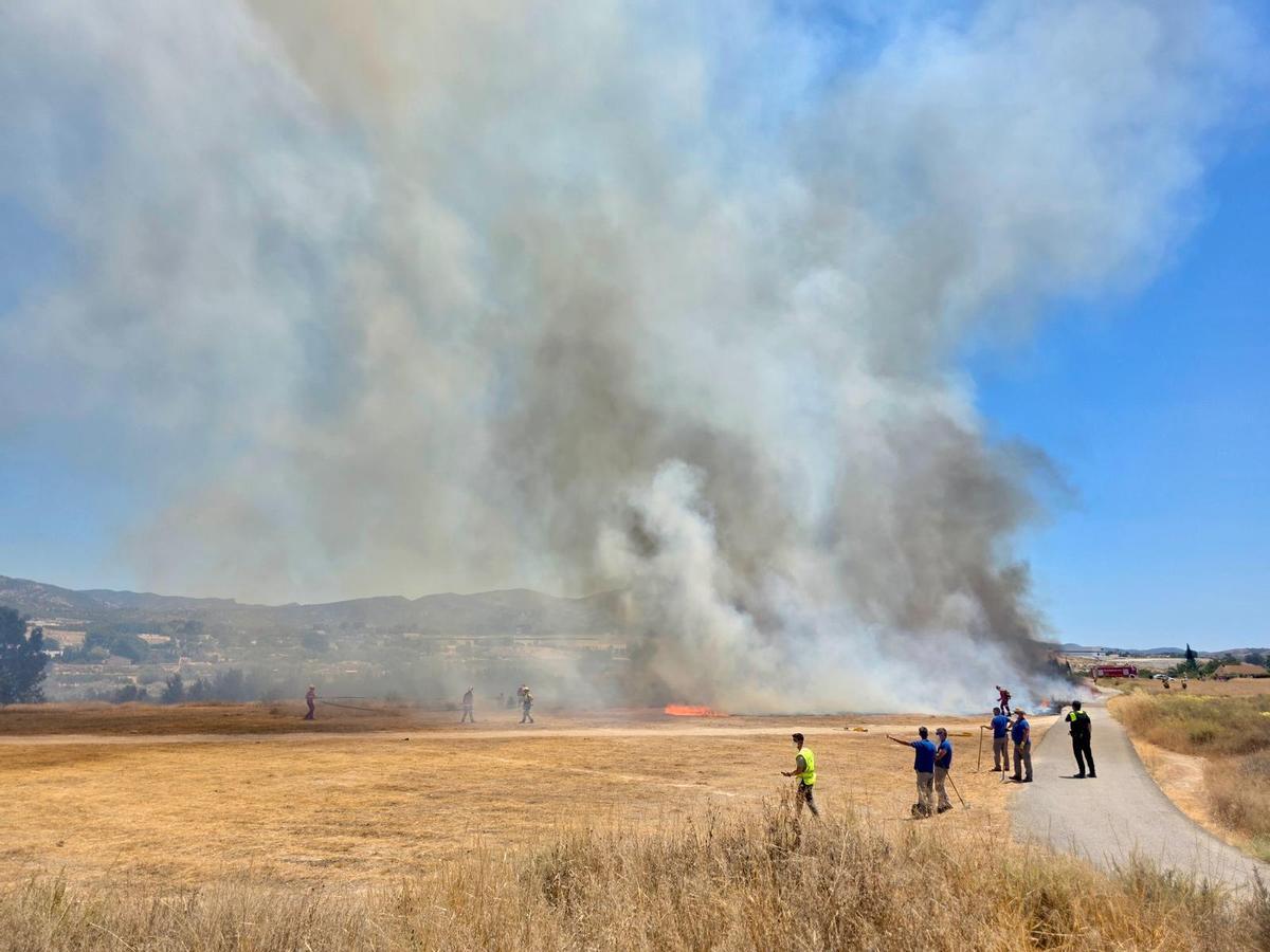 Las imágenes del incendio declarado en el cauce del río Vinalopó en pleno casco urbano de Sax Las imágenes del incendio declarado en el cauce del río Vinalopó en pleno casco urbano de Sax