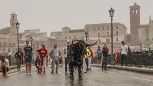 El Toro de la Peña, en el momento de cruzar el puente sobre el Duero, bajo un intenso aguacero. 