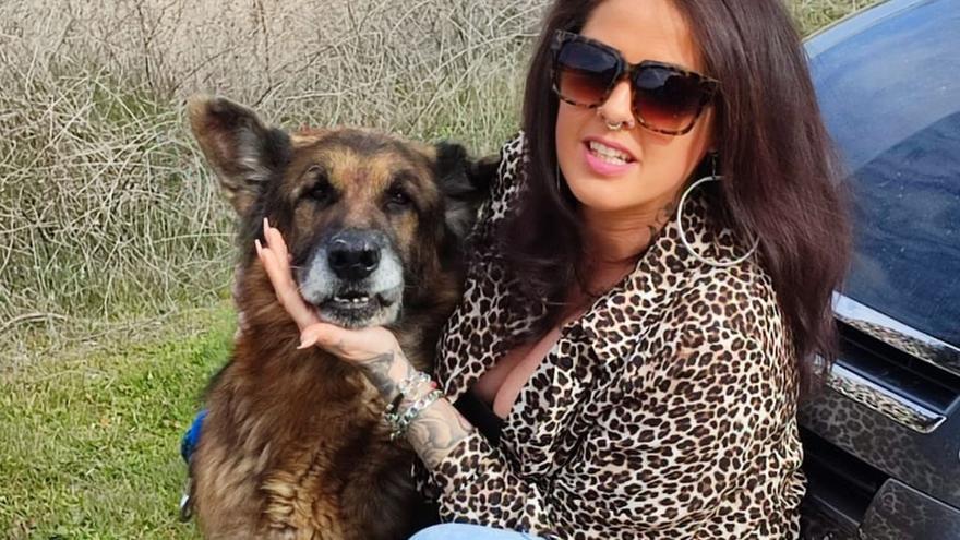 Una mujer encuentra a Dico, un perro perdido al que buscaba su familia desde el año 2015