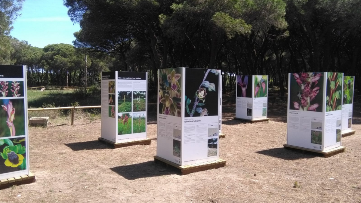 Viladecans convida a descobrir el Remolar