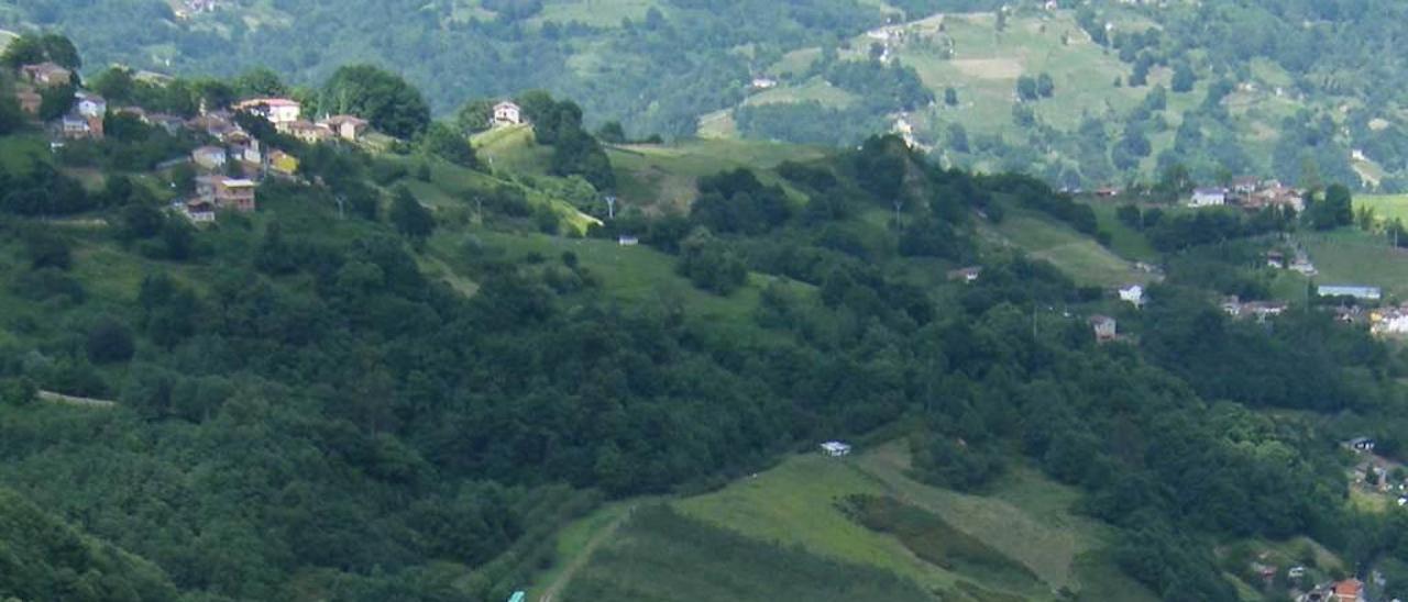 La escombrera de Mozquita, uno de los lugares donde se llevó a cabo el proyecto de cultivos energéticos.